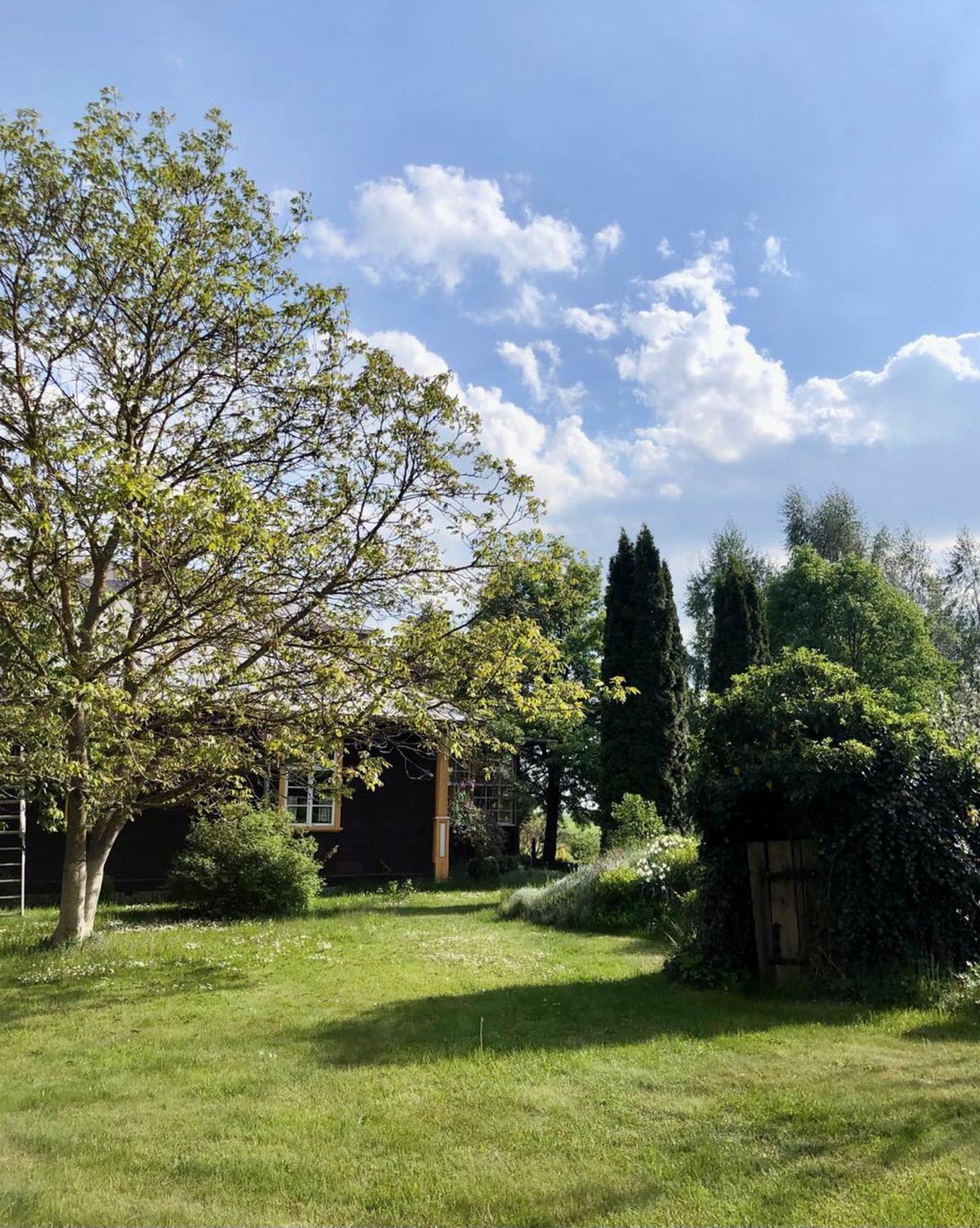 Alpakarium, Hodowla Alpak & Pensjonat Stara Kornica Exterior foto